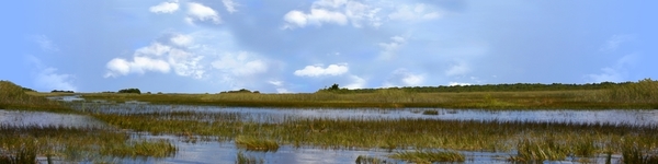 Everglades National Park Continuous