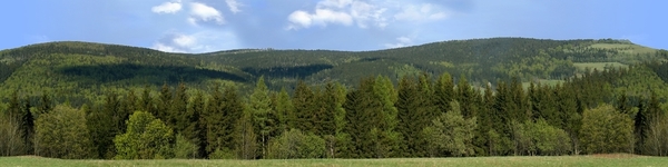 Forested Mountain Continuous