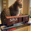 Lionel SP&amp;S box with Max