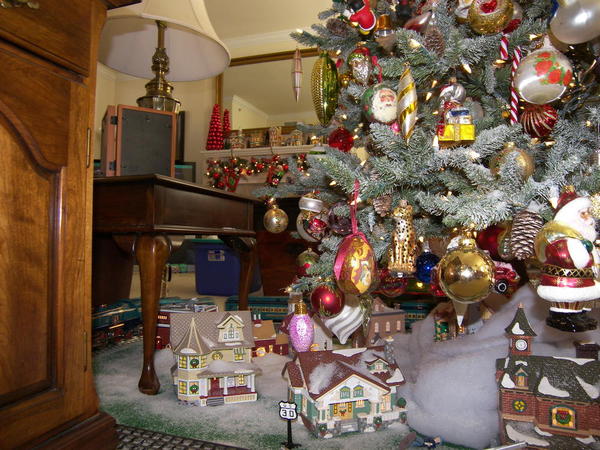 christmas tree 2012 015
