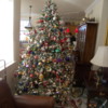 christmas tree 2012 011