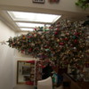 christmas tree 2012 014