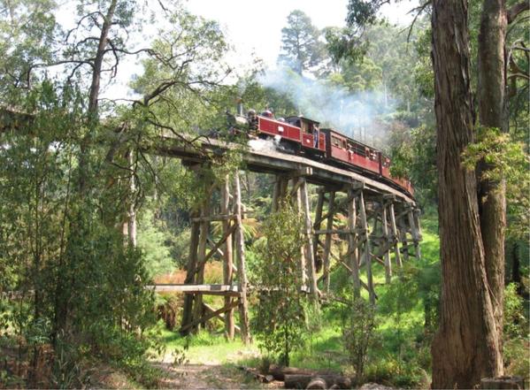 2009-7804-Puffing Billy