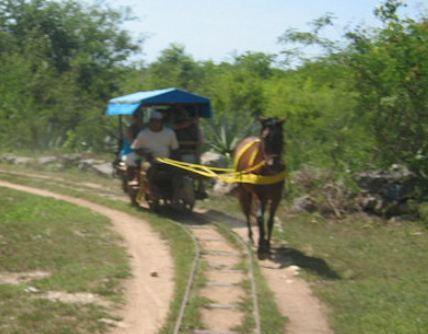 Mayan Passenger Express