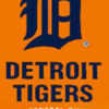 Detroit Tiger Logo 2014 Champs
