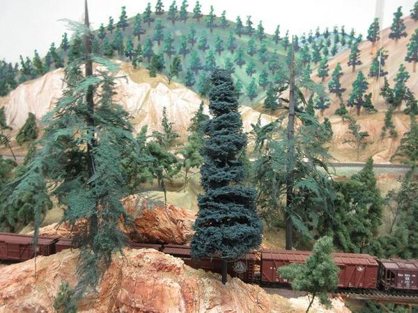 pine trees 02