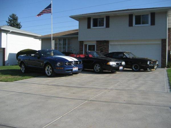 Mustang Party 5