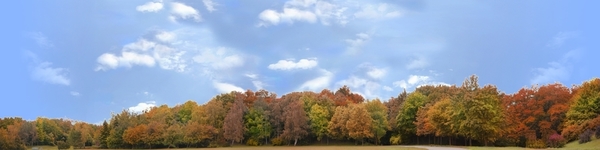 Treeline Large To Right In Autumn