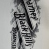 Kearney &amp; Black Hills Railway - logo close-up 1
