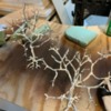 drying trees: Tree armatures re-coated in Woodland Scenics Latex rubber.