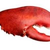 Lobstah-Claw