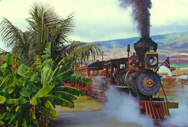 1983 Aug on the The Lahaina, Kaanapali and Pacific Railroad, Maui [3)