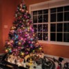 NC christmas tree 2023