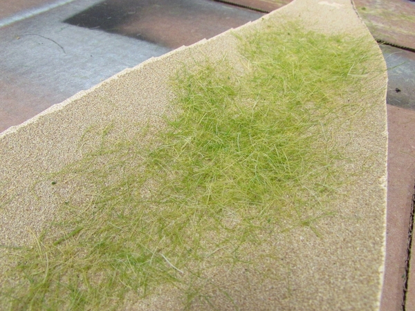 2022-06-02 12 mm static grass 002