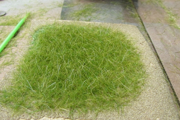 2022-06-06 Static grass 002