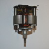 AMT motor showing armature: AMT 7 pole Pittman motor
