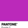 pantone-color-chip-purple-c