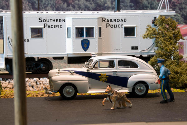 SP Police and Canine Unit-165