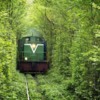 Leafy-Tunnel-Of-Love-In-Ukraine-6-537x358
