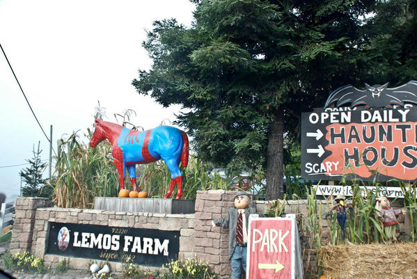 Lemos Sign and Spider Horse-019