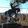 Rodeo Statue-062