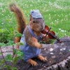 fiddle playing RR squirrel