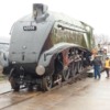 A4 Pacifics going to Barrow Hill Roundhouse weekend (10)