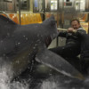 sharknado-2-the-second-one-2014-1