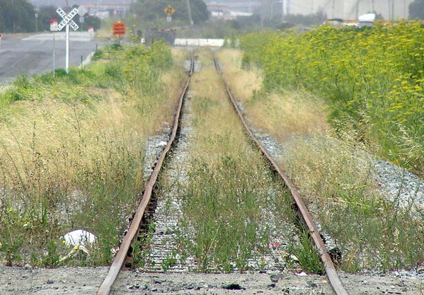 Last of the Old SP Tracks running on the East Side of the Long Gone Bayshore Yard August 2007