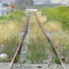 Last of the Old SP Tracks running on the East Side of the Long Gone Bayshore Yard August 2007