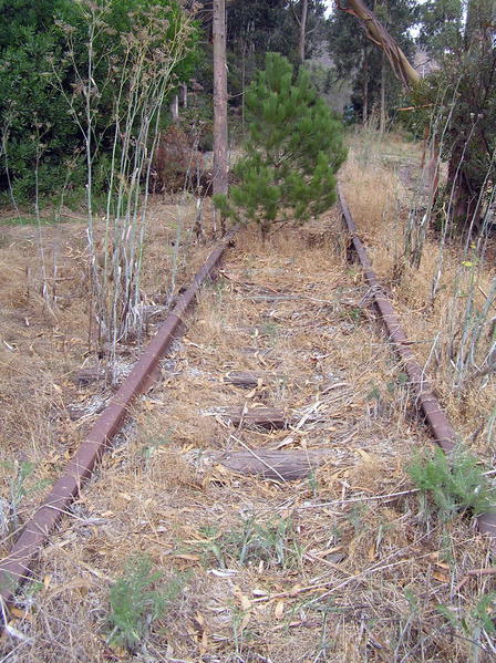 Old railroad tracks in the Crocker Inustrial Park Oct 2006
