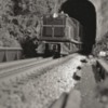 Capra Tunnel, 1952: Montour SW-9s blast out of Capra Tunnel lugging 46 loads of Westland Coal.