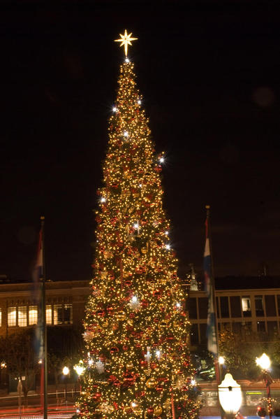 Christmas Tree at Pier 39 [1 of 1)