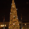 Christmas Tree at Pier 39 (1 of 1)
