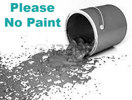 Please No Paint