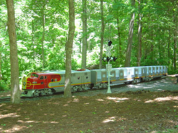 zoo train 2