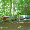 zoo train 2