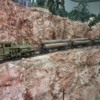 logging railroad 19