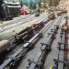 logging railroad 23