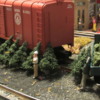 Wagon top boxcar delivered Christmas trees