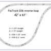 FasTrack reverse loop-21a