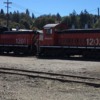 IMG_0184: Two Simpson Timber Company SW locomotives waiting for the Puget Sound &amp; Pacific to take them on their way to their purchasers.