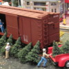 Shipment of Christmas trees