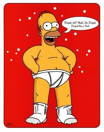 lget5010_homer_simpson_stupid_like_a_fox_the_simpsons_poster_card