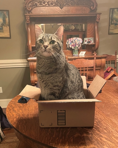 Max in box 