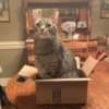 Max in box