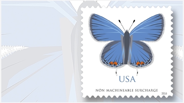 new-us-butterfly-stamp-eastern-tailed-blue