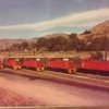 RARE-Coors-Brewery-Train-Golden-Colorado-Rail-Operations
