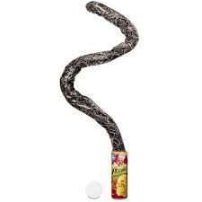 Image result for snake in a can
