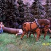 O scale horses pulling logs